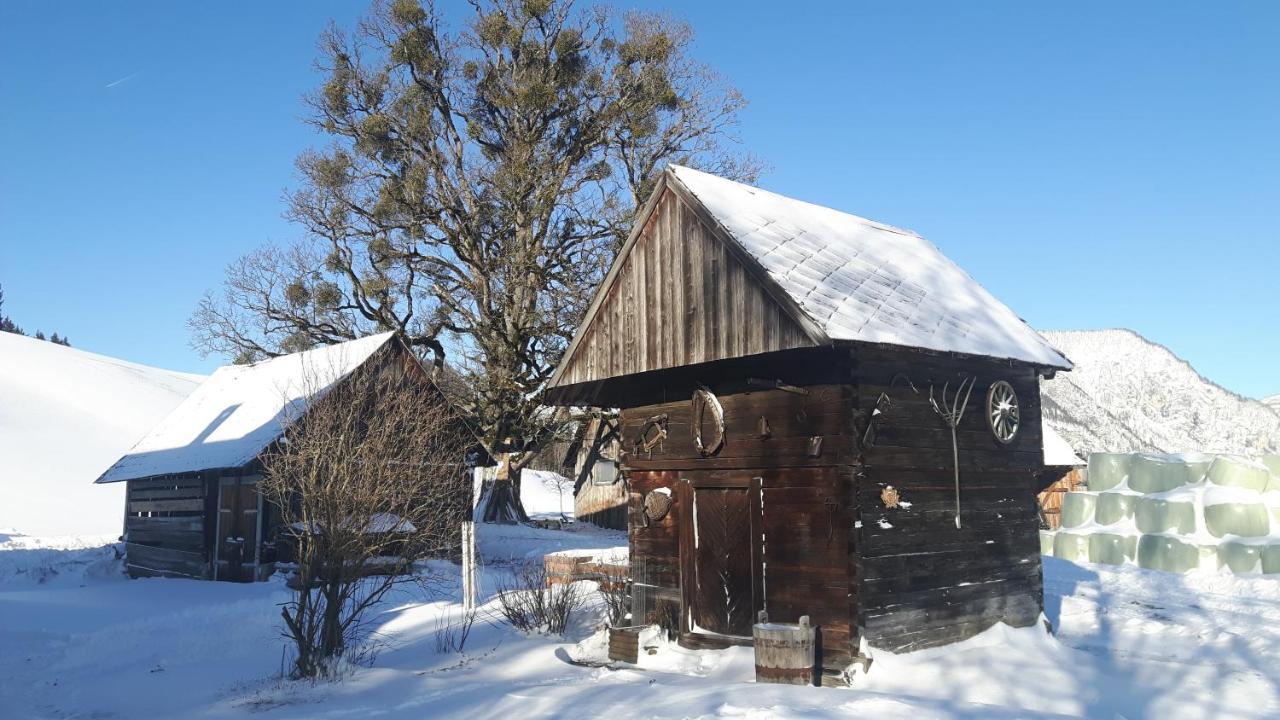 Apartamento Kulmerhof - Farm Pruggern Exterior foto