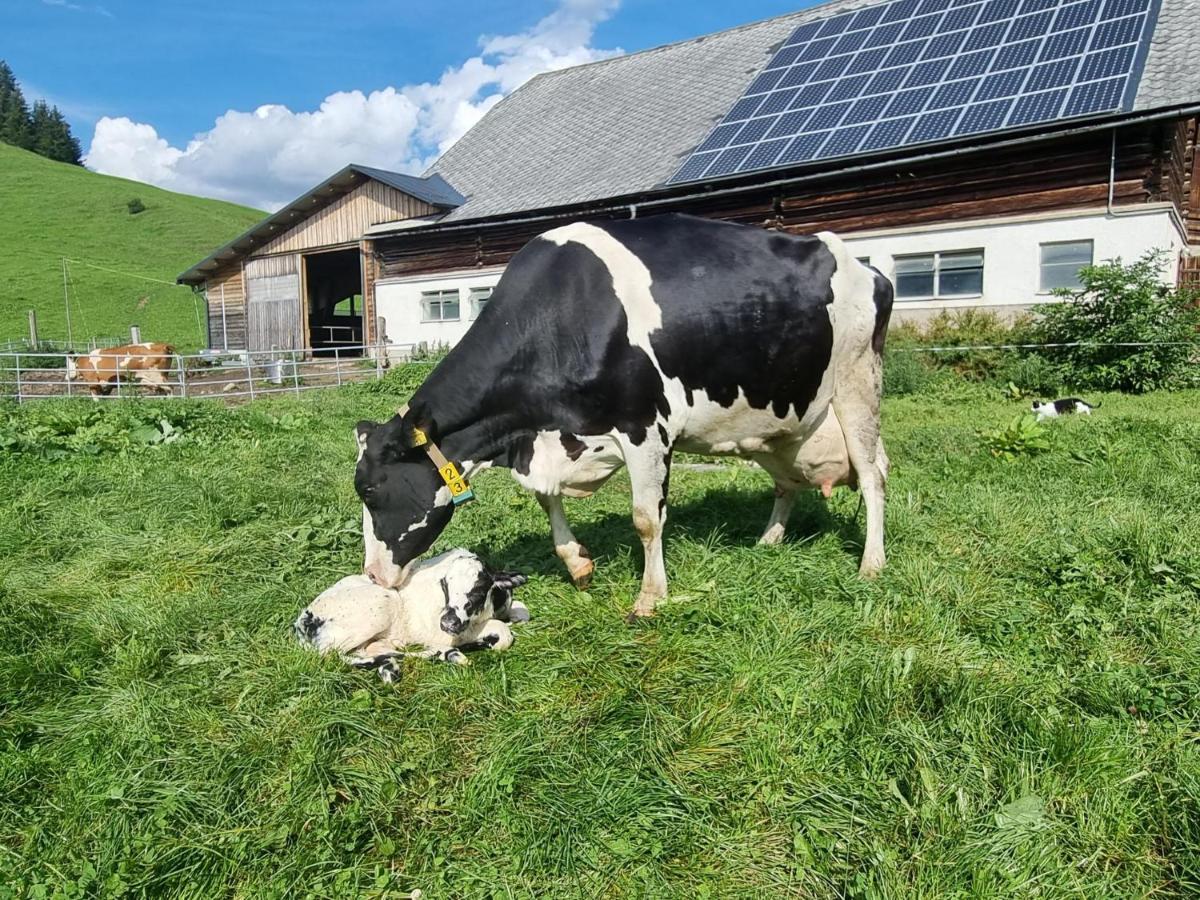 Apartamento Kulmerhof - Farm Pruggern Exterior foto