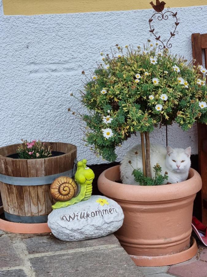 Apartamento Kulmerhof - Farm Pruggern Exterior foto