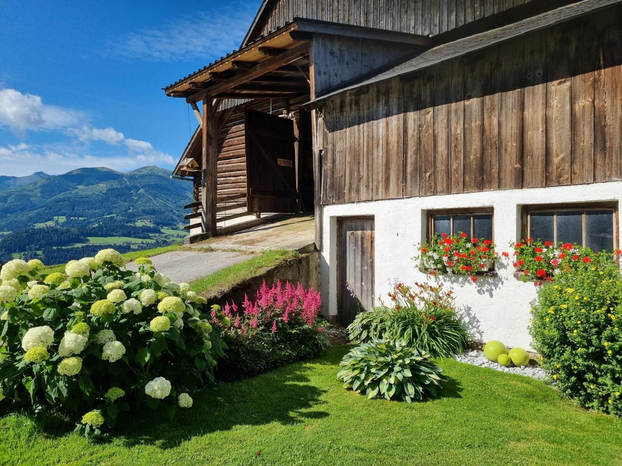 Apartamento Kulmerhof - Farm Pruggern Exterior foto