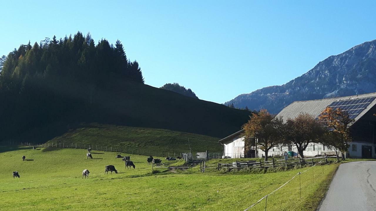 Apartamento Kulmerhof - Farm Pruggern Exterior foto